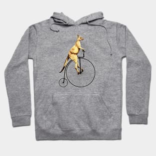 Kangaroo on a Penny Farthing Funny Hoodie